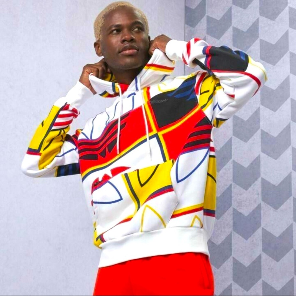 Adidas Colorblock Hoodie